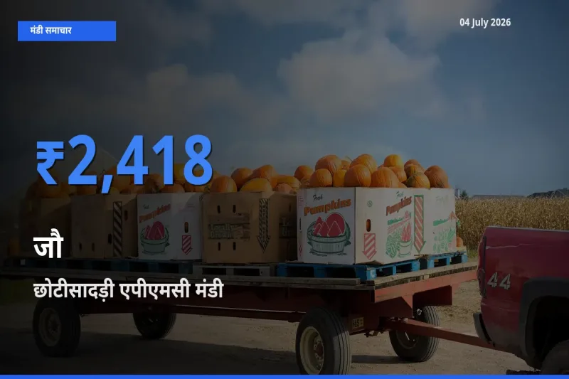 टॉप मंडी बना छोटीसादड़ी एपीएमसी! जौ के सबसे ऊँचे दाम यहीं दर्ज