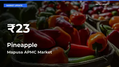 Big Drop! Pineapple Slides to 30-Day Low at Mapusa APMC