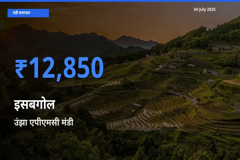 बाज़ार संकेत: उंझा एपीएमसी बना इसबगोल के लिए आज की टॉप मंडी