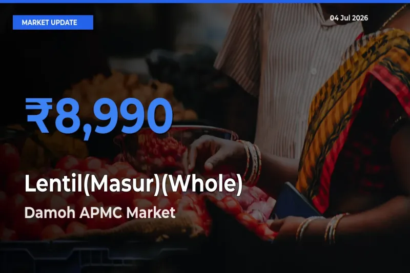 Damoh APMC Emerges as Top Mandi for Lentil(Masur)(Whole) Prices Today