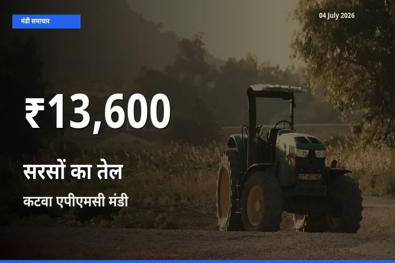 सरसों का तेल के दाम 30 दिनों के सबसे निचले स्तर पर, कटवा एपीएमसी