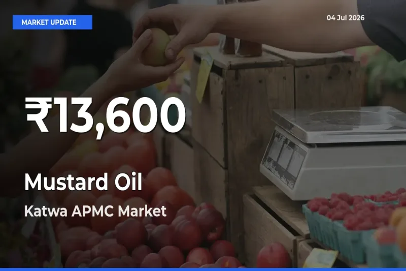 Mustard Oil Hits 30-Day Low in Katwa APMC