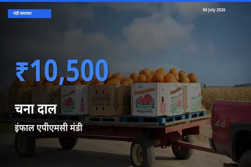 इंफाल एपीएमसी में चना दाल का आज सबसे ऊँचा भाव