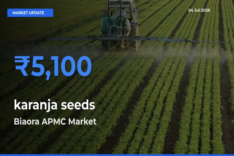 Biaora APMC Tops karanja seeds Rates – July 04 Market Update