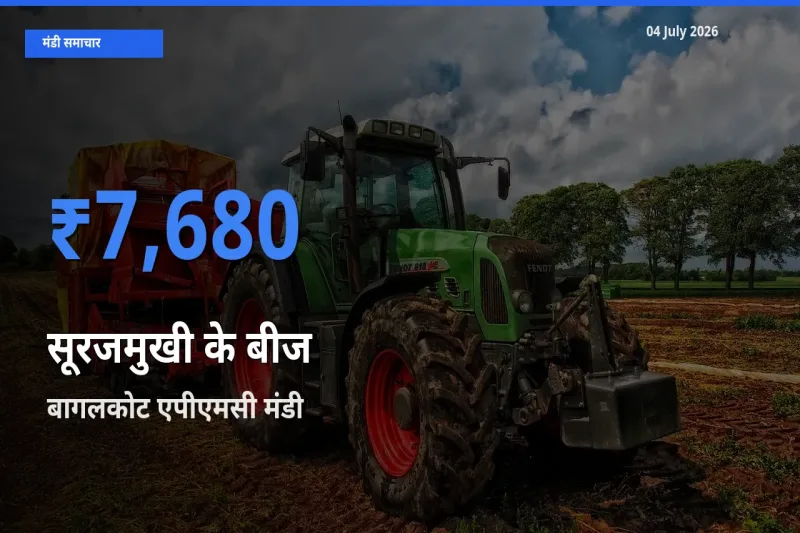 04 July अपडेट: सूरजमुखी के बीज के सबसे ऊँचे दाम बागलकोट एपीएमसी मंडी में