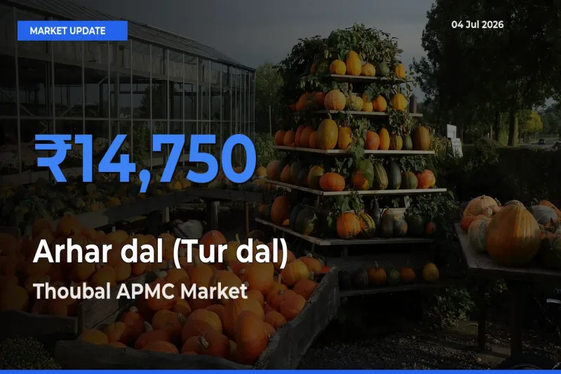 Thoubal APMC Emerges as Top Mandi for Arhar dal (Tur dal) Prices Today