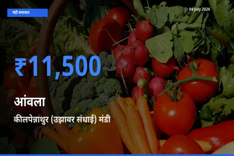 आज आंवला के सबसे ज़्यादा दाम कीलपेन्नाथुर (उझावर संधाई) मंडी में दर्ज