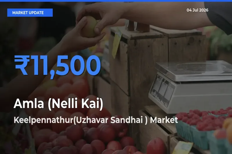 Amla (Nelli Kai) Mandi Rate Today: Keelpennathur(Uzhavar Sandhai ) Tops the List