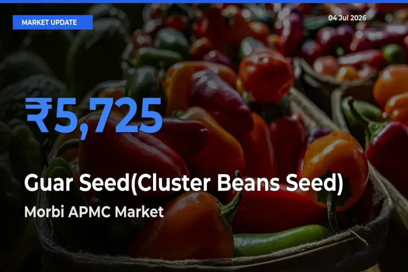 Farmers Prefer Morbi APMC as Guar Seed(Cluster Beans Seed) Hits Highest Rate