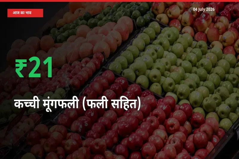 स्थानीय मंडी में कच्ची मूंगफली (फली सहित) के दाम अचानक 20.59% उछले, किसान सतर्क