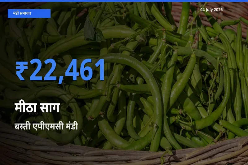 आज मीठा साग के सबसे ऊँचे दाम ₹22,461 बस्ती एपीएमसी मंडी में
