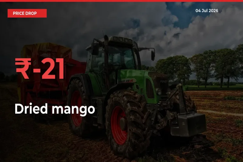 Farmers Alert as Dried mango Prices Slide 21.47% in Local Mandis