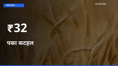 पका कटहल का ट्रेंड कई मंडियों में साफ