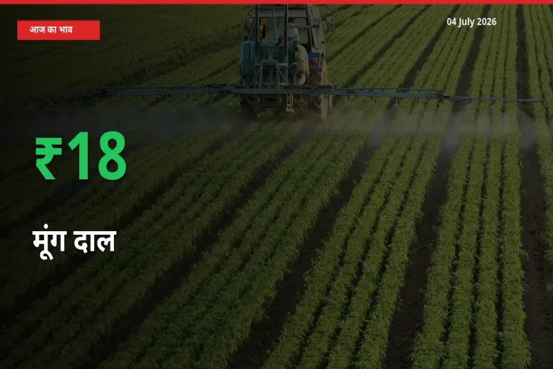 मूंग दाल के दाम प्रमुख मंडी में 18.41% बढ़े, 24 घंटे में बड़ा बदलाव