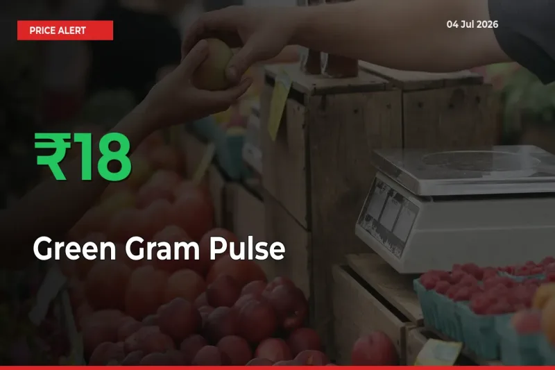 Big Rally! Green Gram Pulse Climbs 18.41% in 24 Hours at Top Mandis