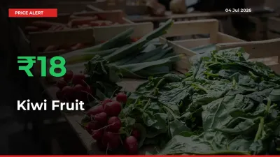 Kiwi Fruit Prices Rise 18.28% in a Day at Major Mandis