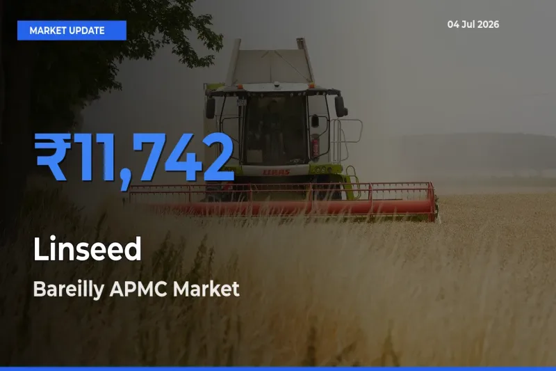 Market Watch: Bareilly APMC Becomes Top Mandi for Linseed