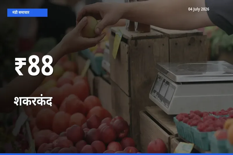 कई मंडियों में शकरकंद के भाव बदले – बाज़ार में बड़ा संकेत