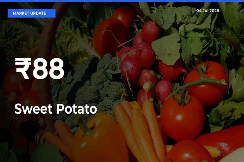 Sweet Potato Trend Strengthens Across Major Mandis