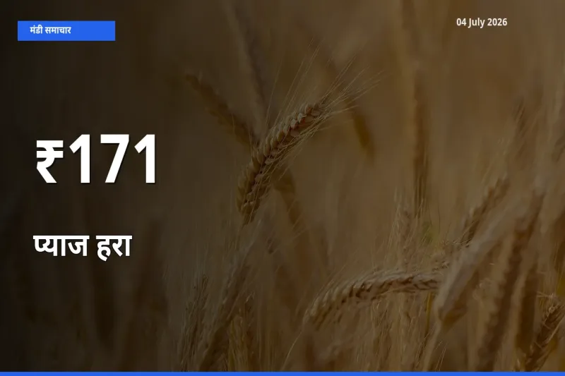 प्याज हरा के दामों का असर कई मंडियों में, बाज़ार दिशा स्पष्ट