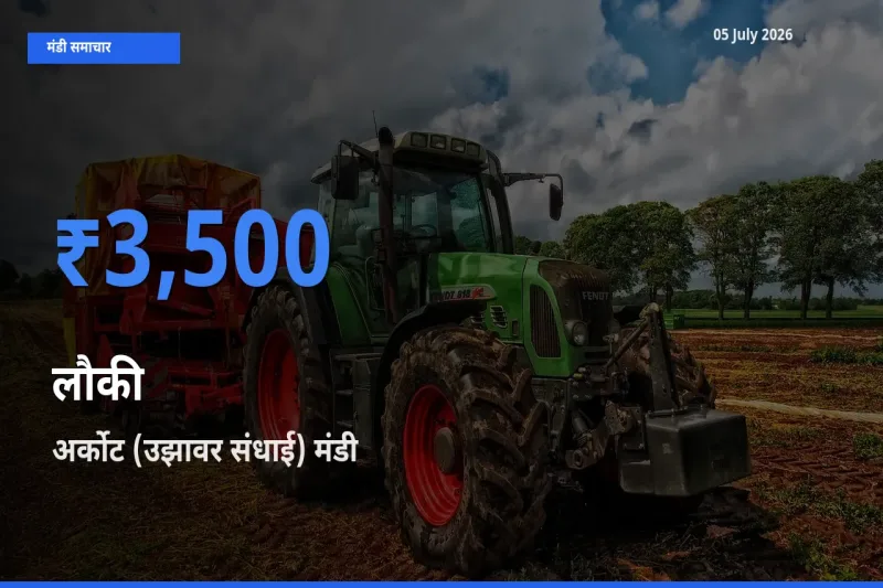 आज लौकी के सबसे ज़्यादा दाम अर्कोट (उझावर संधाई) मंडी में दर्ज
