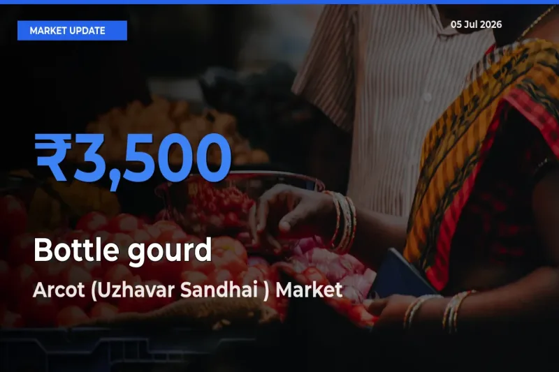 Farmers Prefer Arcot (Uzhavar Sandhai ) as Bottle gourd Hits Highest Rate