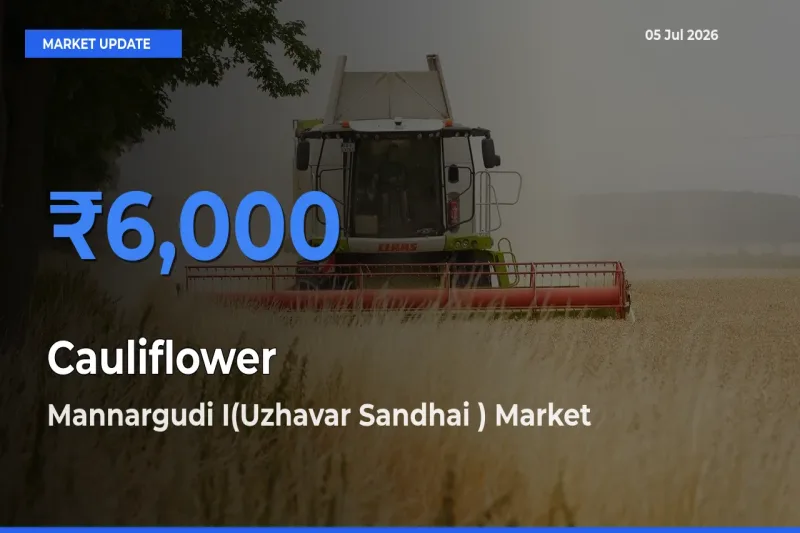Mannargudi I(Uzhavar Sandhai ) Records Highest ₹6,000 Rate for Cauliflower