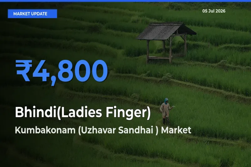 Bhindi(Ladies Finger) Mandi Rate Today: Kumbakonam (Uzhavar Sandhai ) Tops the List
