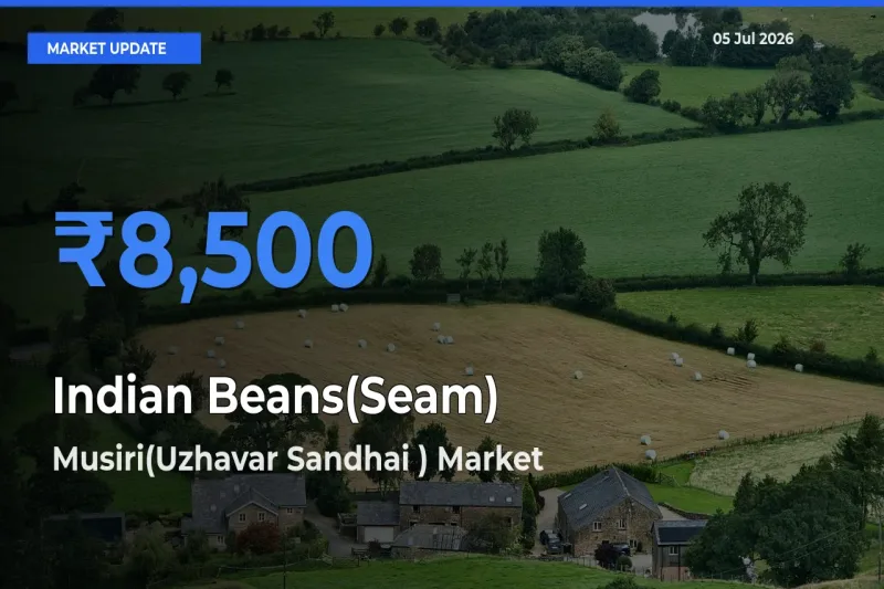 Indian Beans(Seam) Mandi Rate Today: Musiri(Uzhavar Sandhai ) Tops the List