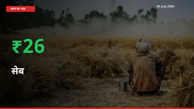 आज का मंडी भाव: सेब के दाम मंडी में 25.96% ऊपर