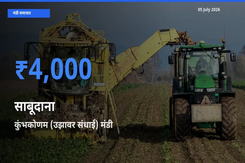 कुंभकोणम (उझावर संधाई) में साबूदाना का आज सबसे ऊँचा भाव
