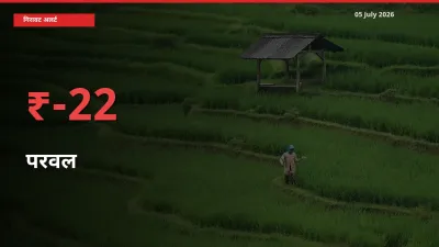 परवल के दाम प्रमुख मंडी में 21.98% गिरे, 24 घंटे में बड़ा बदलाव