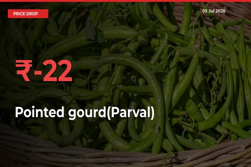 21.98% Drop in Pointed gourd(Parval) Prices – Mandi Sees Sudden Fall