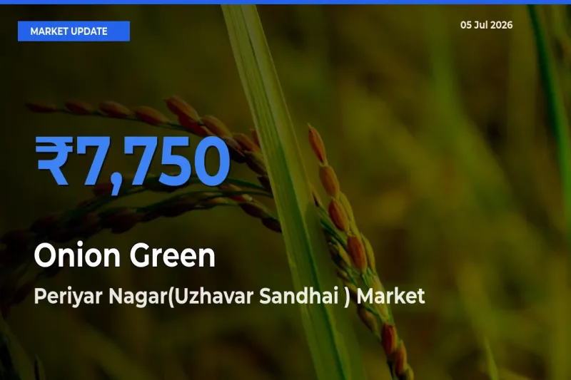 Periyar Nagar(Uzhavar Sandhai ) Tops Onion Green Rates – July 05 Market Update