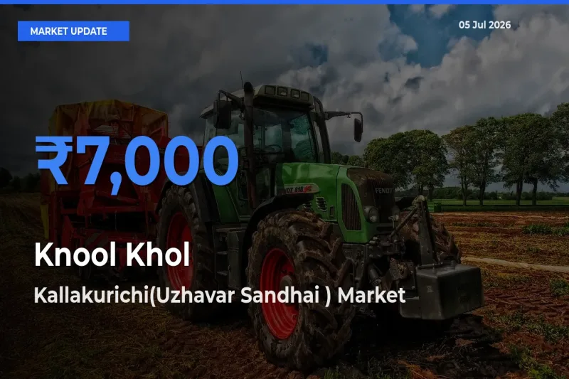 Market Watch: Kallakurichi(Uzhavar Sandhai ) Becomes Top Mandi for Knool Khol