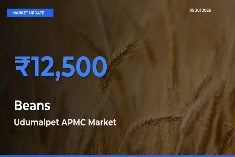 Udumalpet APMC Emerges as Top Mandi for Beans Prices Today