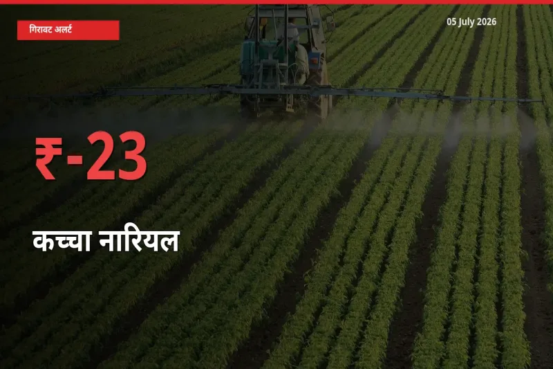 05 July अपडेट: कच्चा नारियल के दाम मंडी में 22.63% गिरे
