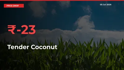 22.63% Drop in Tender Coconut Prices – Mandi Sees Sudden Fall
