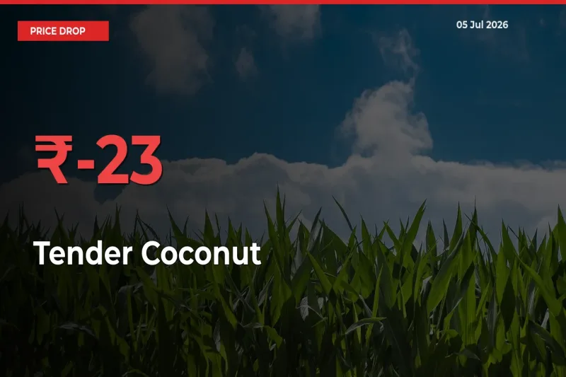 22.63% Drop in Tender Coconut Prices – Mandi Sees Sudden Fall