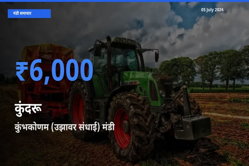 आज कुंदरू के सबसे ज़्यादा दाम कुंभकोणम (उझावर संधाई) मंडी में दर्ज
