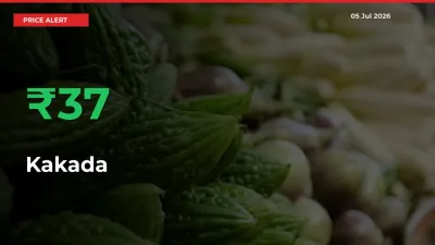 Why Kakada Prices Rose 36.92% in a Day at Mandis
