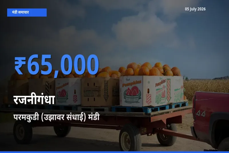 परमकुडी (उझावर संधाई) मंडी में रजनीगंधा ₹65,000 पर पहुँचा – आज का सर्वोच्च भाव