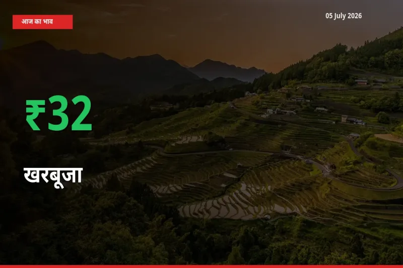 05 July अपडेट: खरबूजा के दाम मंडी में 32.45% उछले