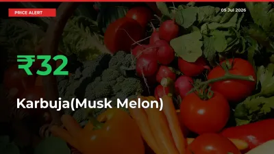 Karbuja(Musk Melon) Mandi Rate Today: Prices Jump 32.45% at Market