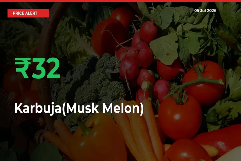 Karbuja(Musk Melon) Mandi Rate Today: Prices Jump 32.45% at Market
