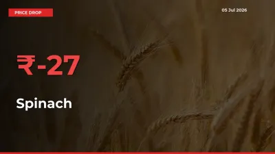 Why Spinach Prices Fell 27.19% in a Day at Mandis