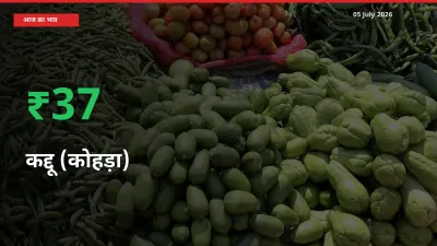 स्थानीय मंडी में कद्दू (कोहड़ा) के दाम अचानक 36.79% उछले, किसान सतर्क
