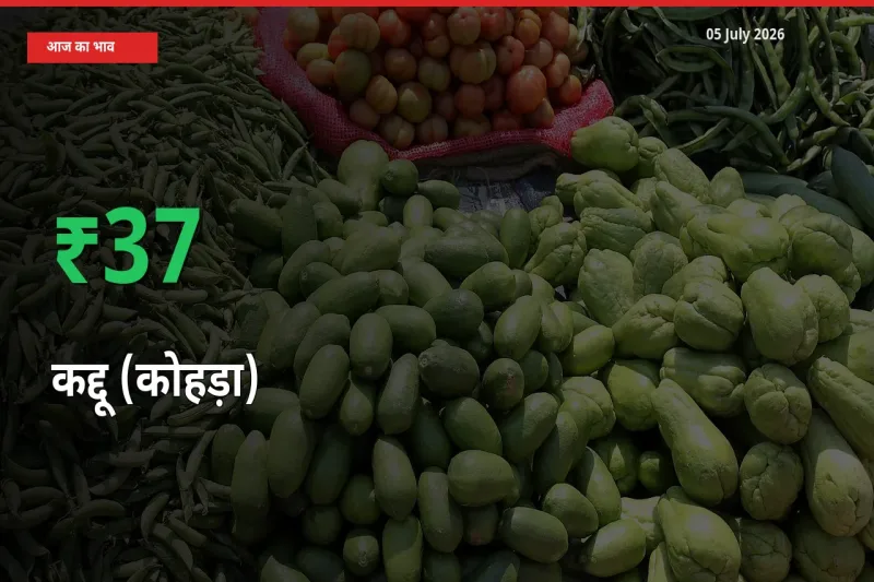 स्थानीय मंडी में कद्दू (कोहड़ा) के दाम अचानक 36.79% उछले, किसान सतर्क