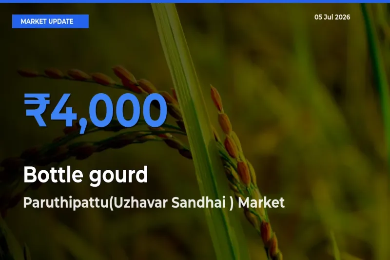 Paruthipattu(Uzhavar Sandhai ) Tops Bottle gourd Mandi Rates Today