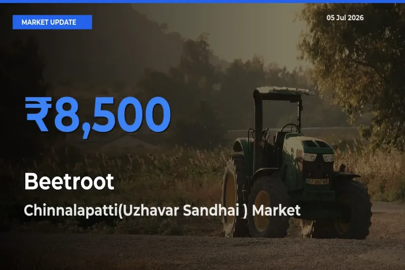 Chinnalapatti(Uzhavar Sandhai ) Tops Beetroot Mandi Rates Today